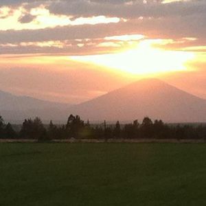 Meet your Posher, Cassie